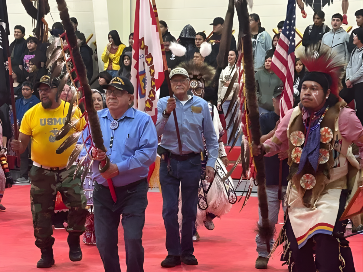 AIAN blog images - website crop