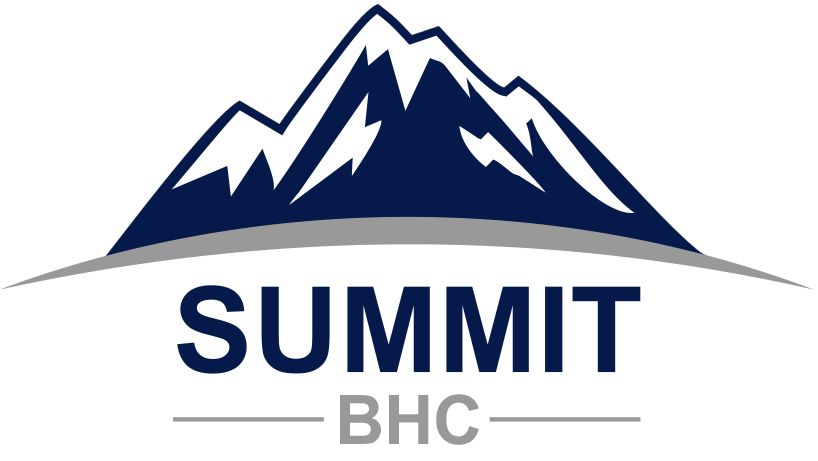 vsummit-behavioral-healthcare-logo
